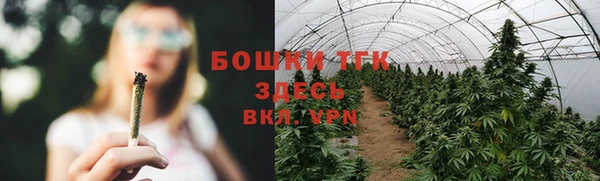 ГАЛЛЮЦИНОГЕННЫЕ ГРИБЫ Зеленокумск