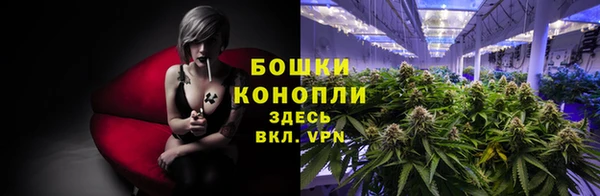 ГАЛЛЮЦИНОГЕННЫЕ ГРИБЫ Зеленокумск