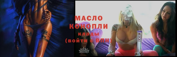 индика Галич