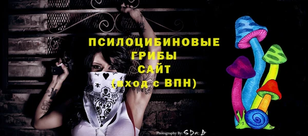 ГАЛЛЮЦИНОГЕННЫЕ ГРИБЫ Зеленокумск